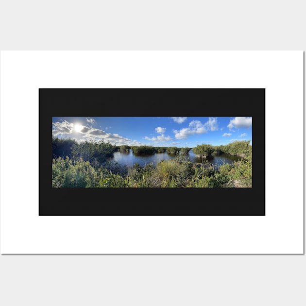 Florida Everglades Wall Art by Sparkleweather